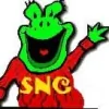 Swift Nature Camp