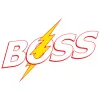 Boss LTR