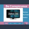Zalles Web Design
