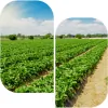 RAMCO ENTERPRISES