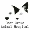 Deer Grove Animal Hospital