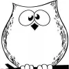 The Cross Eyed Owl Gift Shop