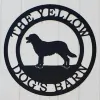 The Yellow Dog's Barn
