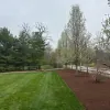 Lima's Landscaping & Irrigation