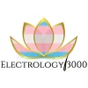 Electrology 3000