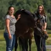 Erin Longworth Performance Horses