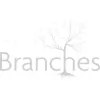 Branches Massage and Spa
