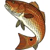 Captain Randy's Guide Service