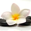 Olga's Day Spa