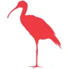 Ibis Bakery