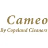 Arthur Copeland Cleaners