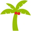 Pine Island Taxi & Limousine