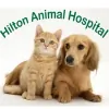 Hilton Animal Hospital