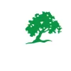 Oaks Dental Care