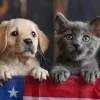 Kinkaid Veterinary Hospital