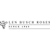 Len Busch Roses