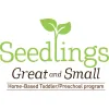 Seedlings Great & Small