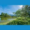 Green Pond Dental Associates