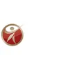 Envision Eye Care