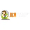 Upholstery Cleaning Houston