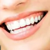 Dental Arts Of Totowa