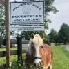 Hooves Of Hope
