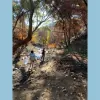 Paths & Pages
