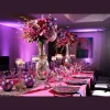Prestige Designs & Events