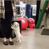 DTR Fitness