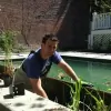 Nantucket Pools