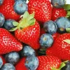 Vineyard Nutrition