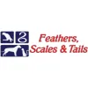 Feathers Scales & Tails Veterinary Hospital