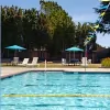 Treeview Swim Club