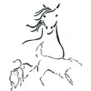 Iron Range Veterinary Clinic