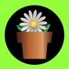 Potted Luck
