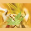 Aziza Doumani Reiki & Wellbeing
