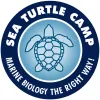 Sea Turtle Camp