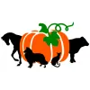 Pumpkin Hill Veterinary Clinic