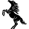 Black Stallion Winery