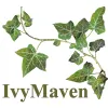 Ivy Maven