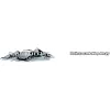 Sawtooth Transportation