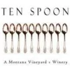 Ten Spoon