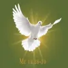 La Misericordia Home Care Service