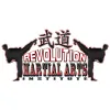 Revolution Martial Arts Institute
