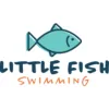 Little Fish Swimming