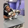 The Peaceful Pooch Groom