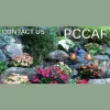 Psychotherapy Center For Children Adults & Families