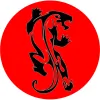 Precision Mixed Martial Arts