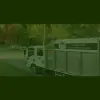 Southeast Arborist