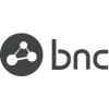 Business Network Consulting
